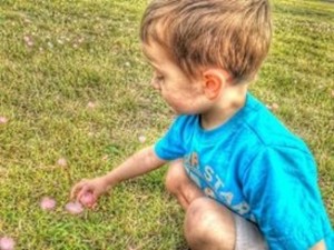jack jack flower